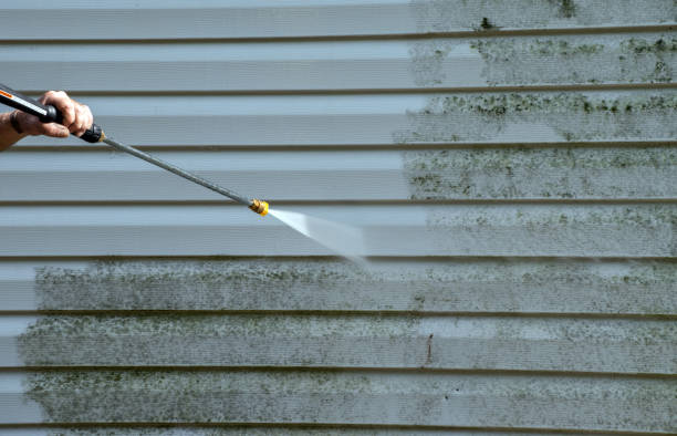 Best Building Exterior Pressure Washing in Port Allen, LA